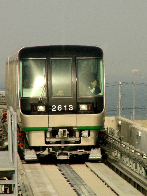 0605plt1.JPG
