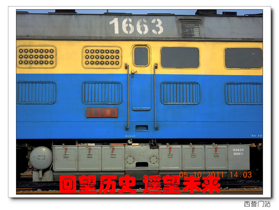 205.jpg