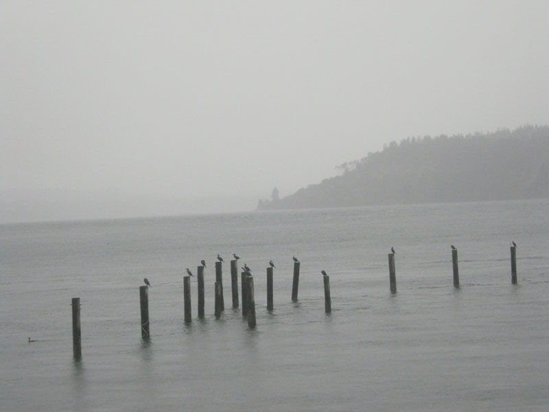IMG_1590.JPG