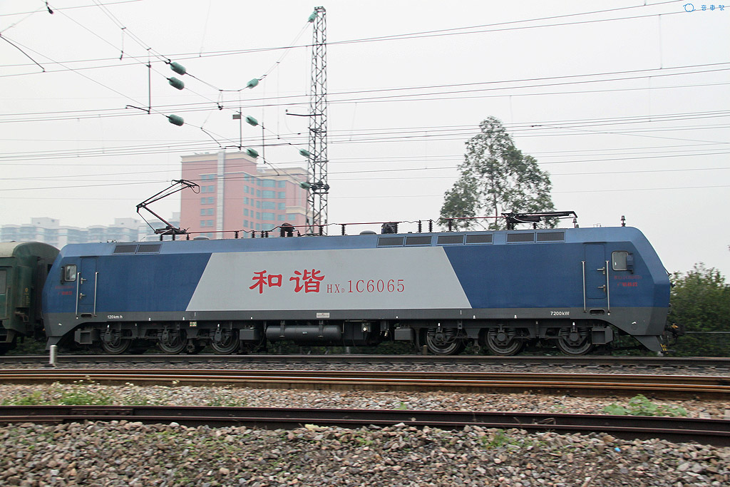 TNCG-2584 [CRC32_82A9EBAC].jpg