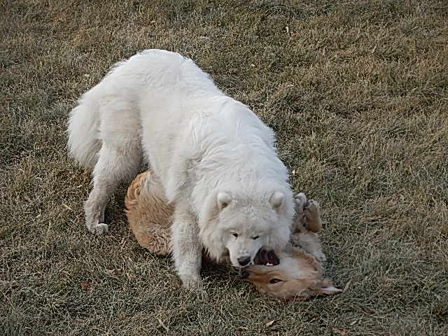 DSCN1534.JPG