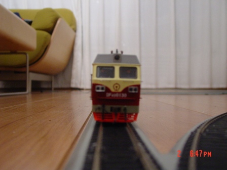 DSC06876.JPG