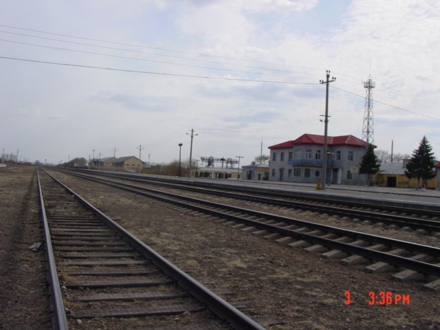 DSC07442.JPG