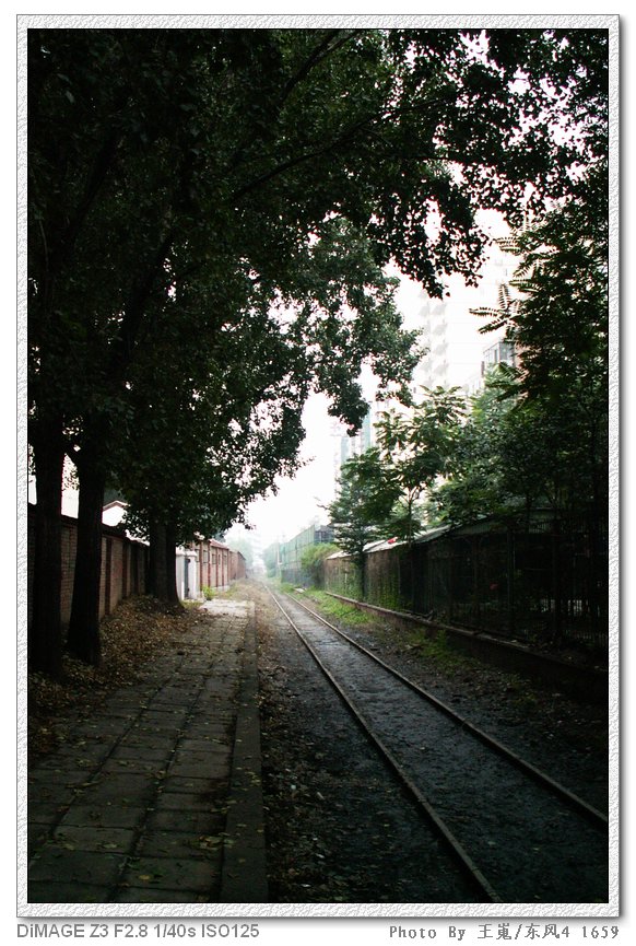 PICT8569.JPG
