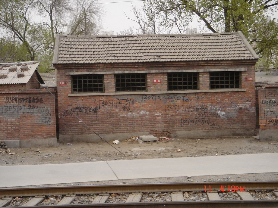 DSC00032_调整大小_调整大小.JPG