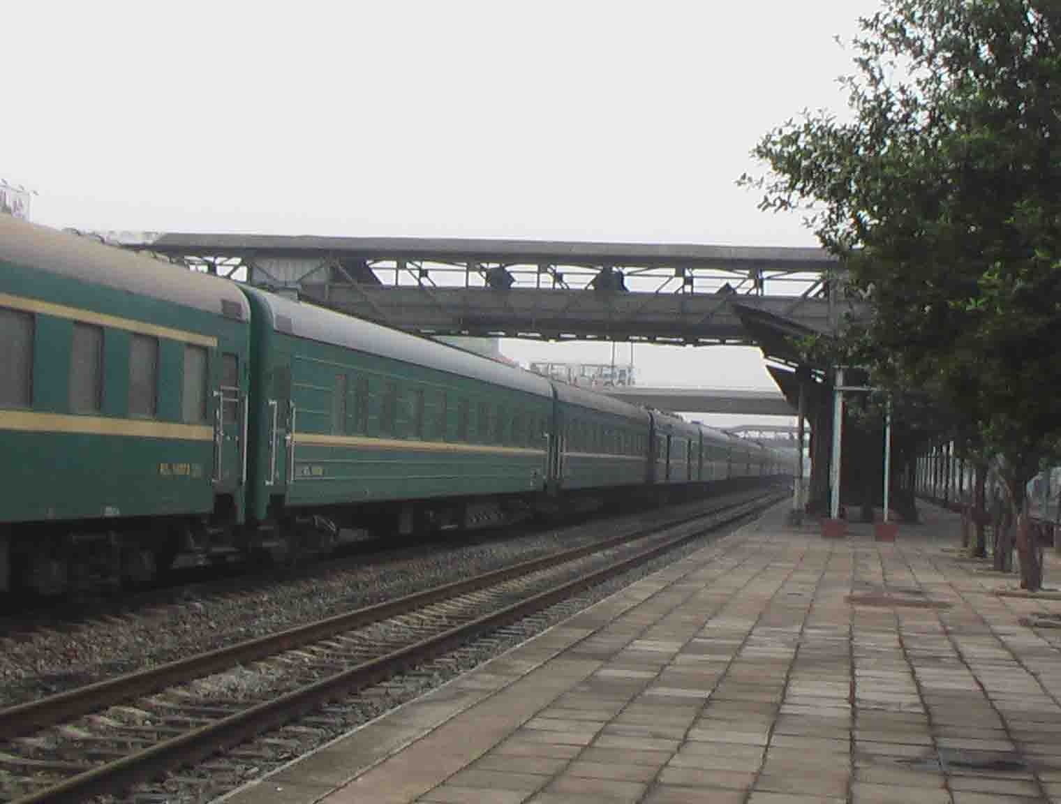 RZ24.jpg