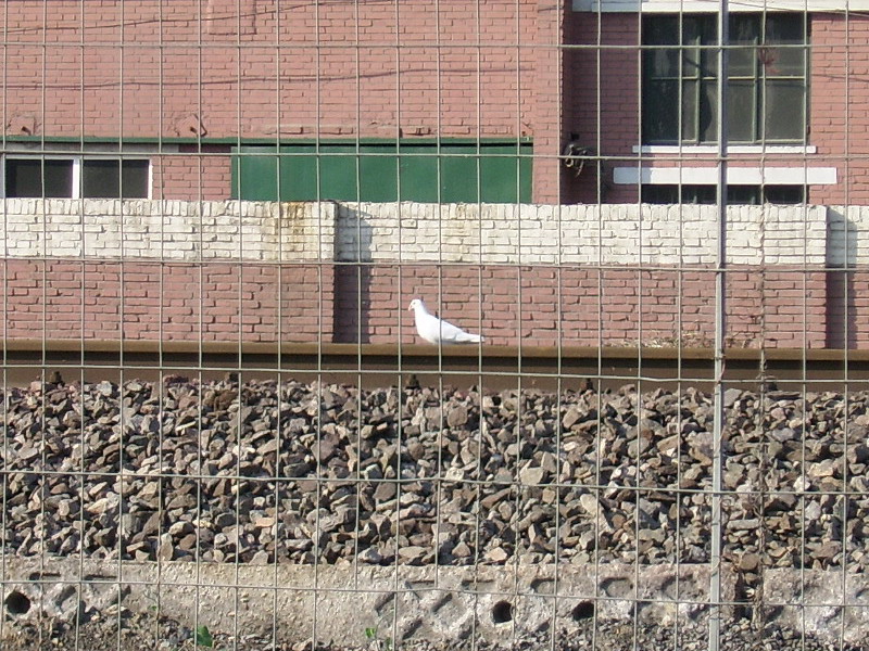 SSA50484.jpg