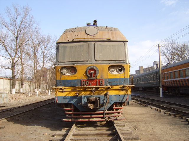 SUC50528.JPG