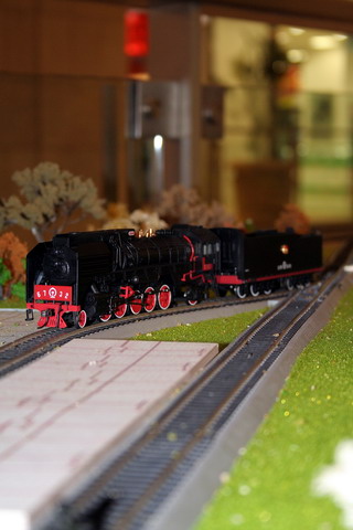 IMG_0212_缩小大小.jpg