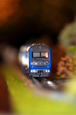 IMG_0317_缩小大小.jpg