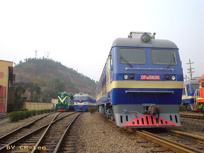 DF8B_5606.jpg