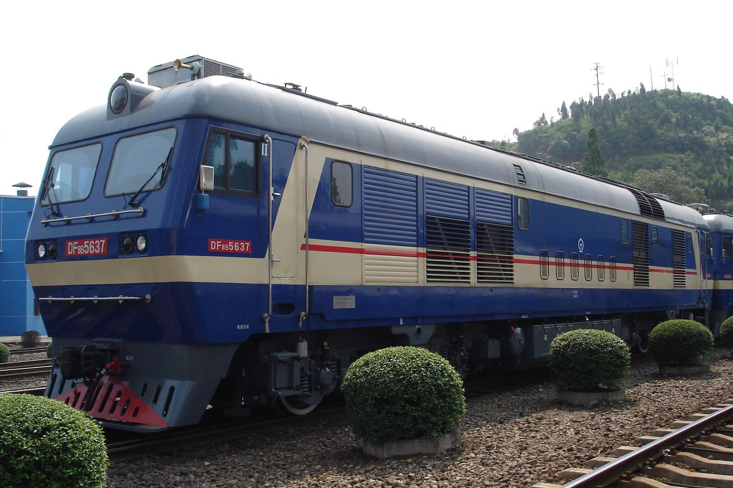 DF8B_5637-1.jpg