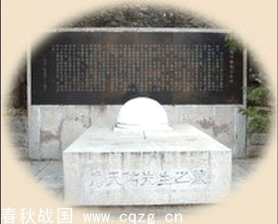 z9.jpg