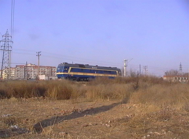 DF8B_5203.jpg