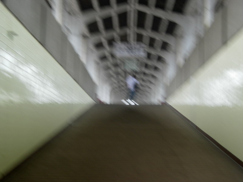 DSCN9911_调整大小.JPG