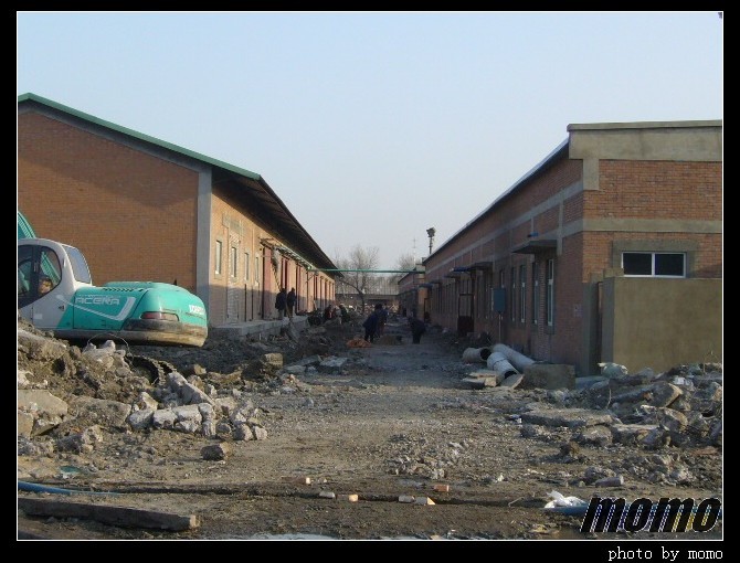 P1010438_KyLonYcG7wGB_nEO_IMG.jpg