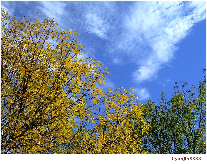 DSCF7792.jpg