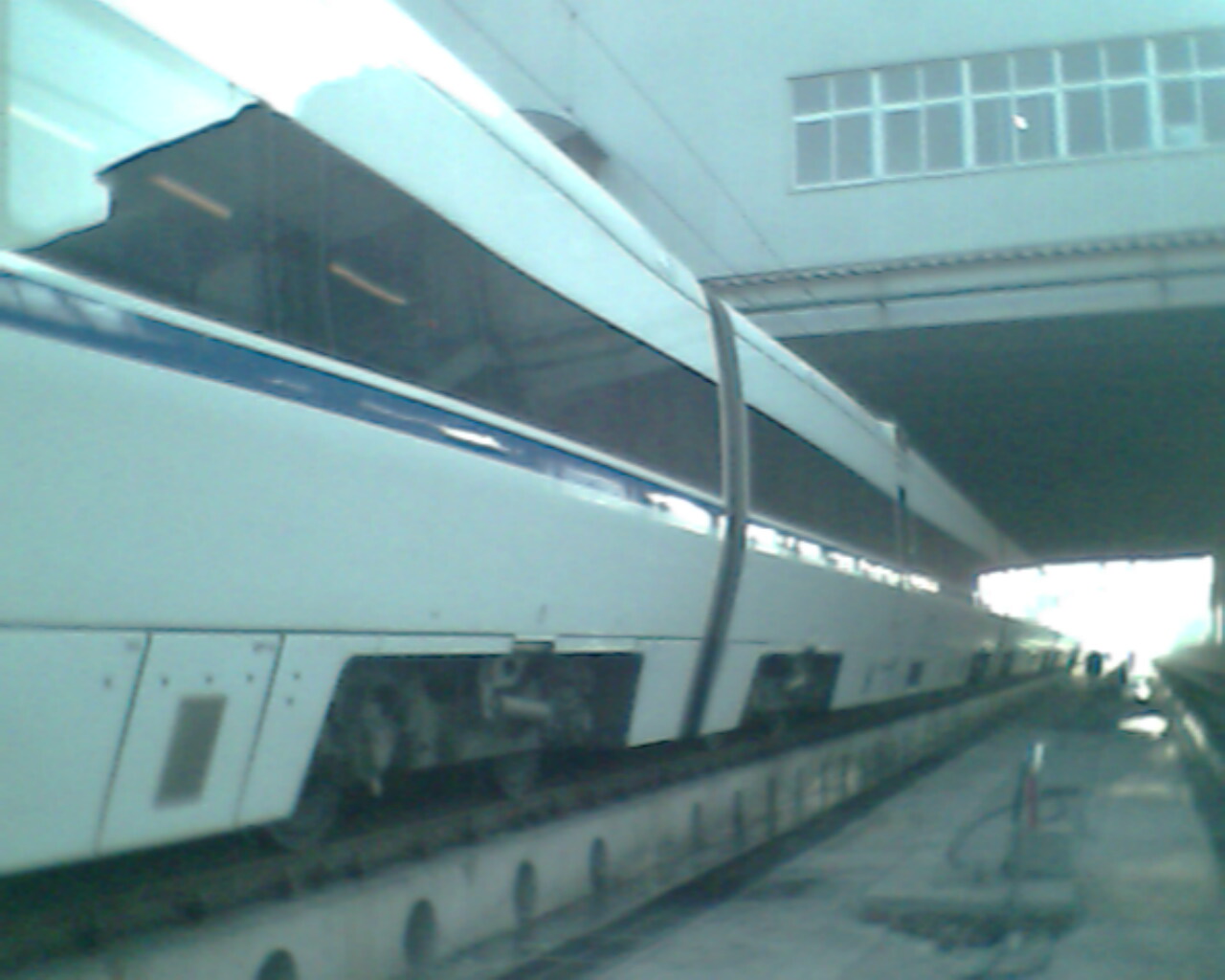 IMG0505A.jpg