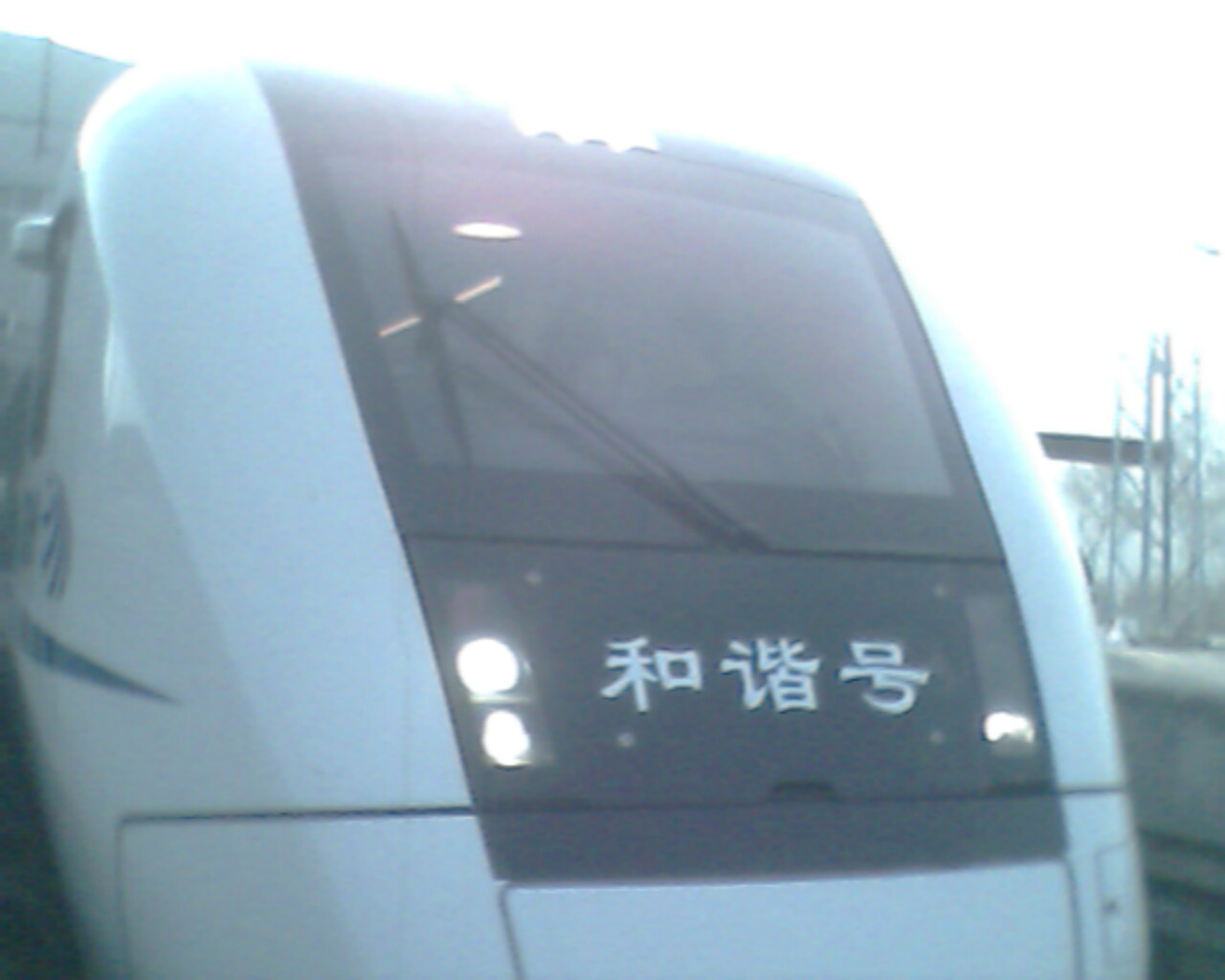 IMG0511A.jpg