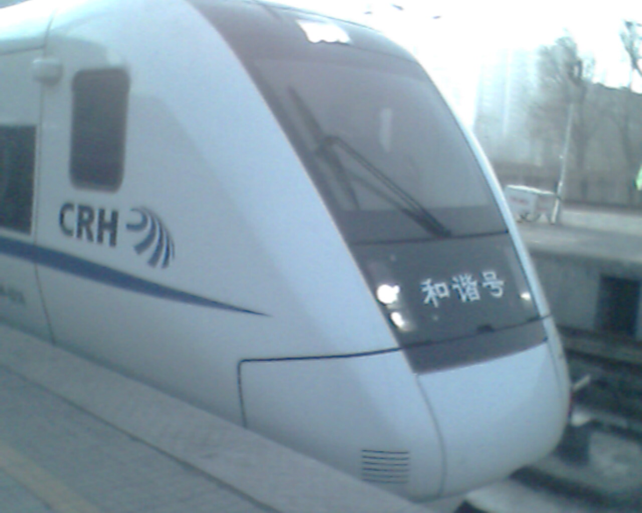 IMG0507A.jpg