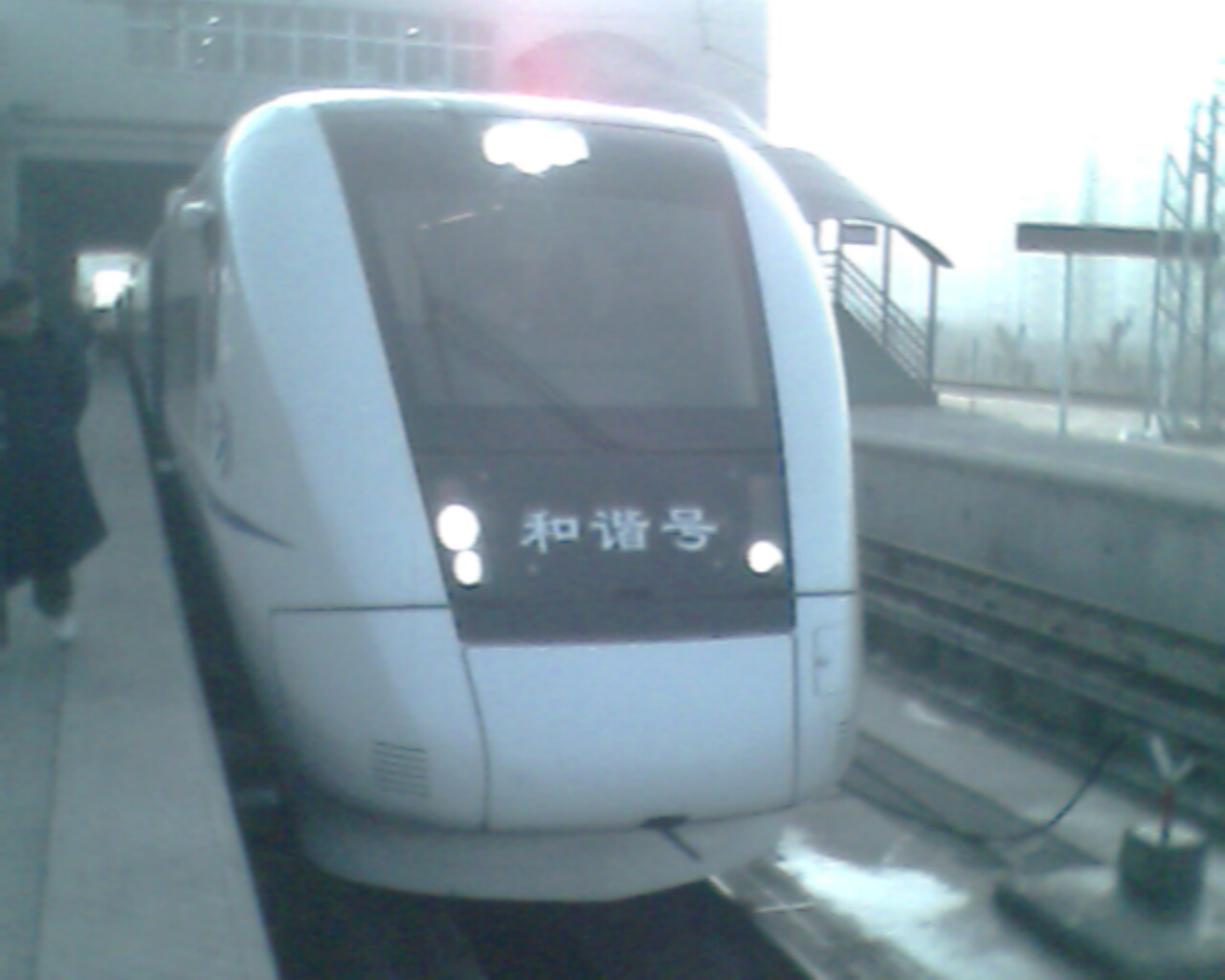 IMG0495A.jpg