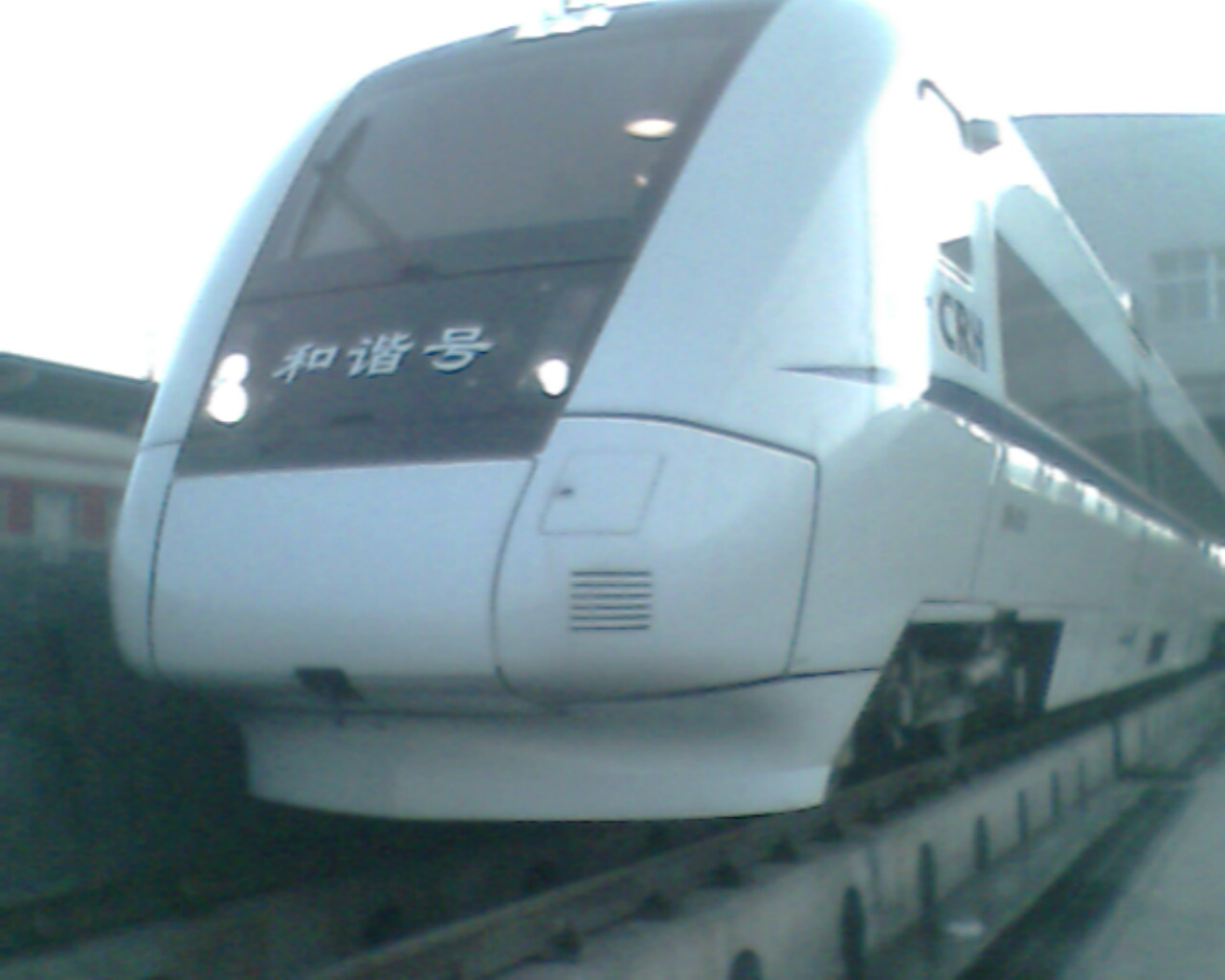 IMG0496A.jpg
