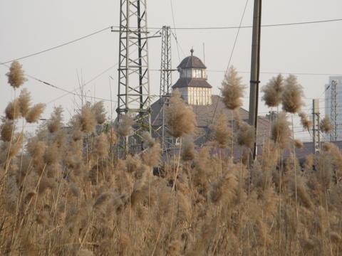 581a.jpg