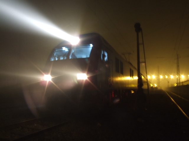 DSCF8483.JPG