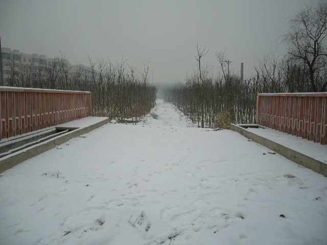 P1000983.JPG