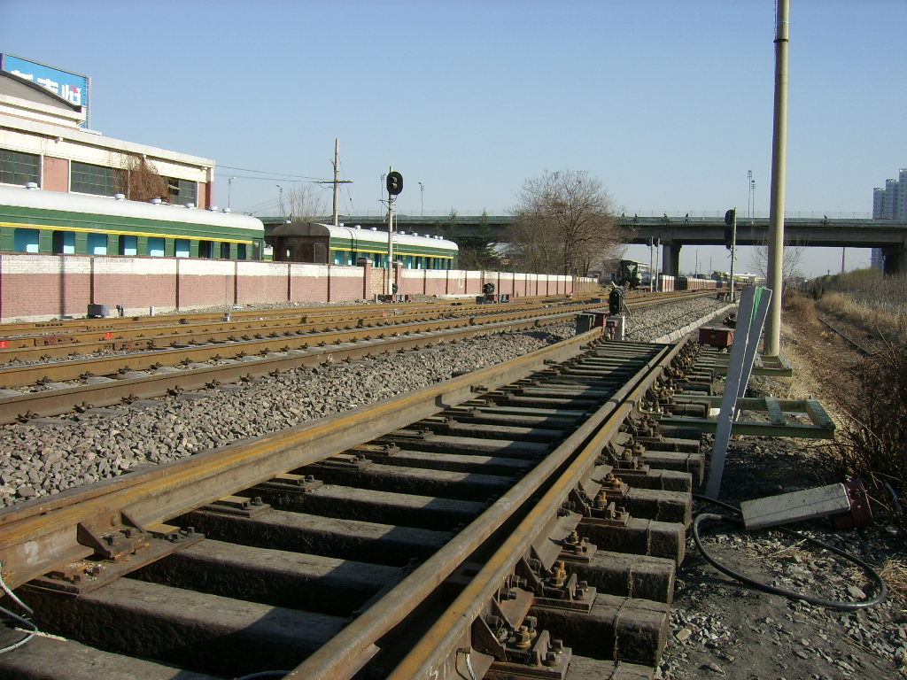 SSA50086.JPG