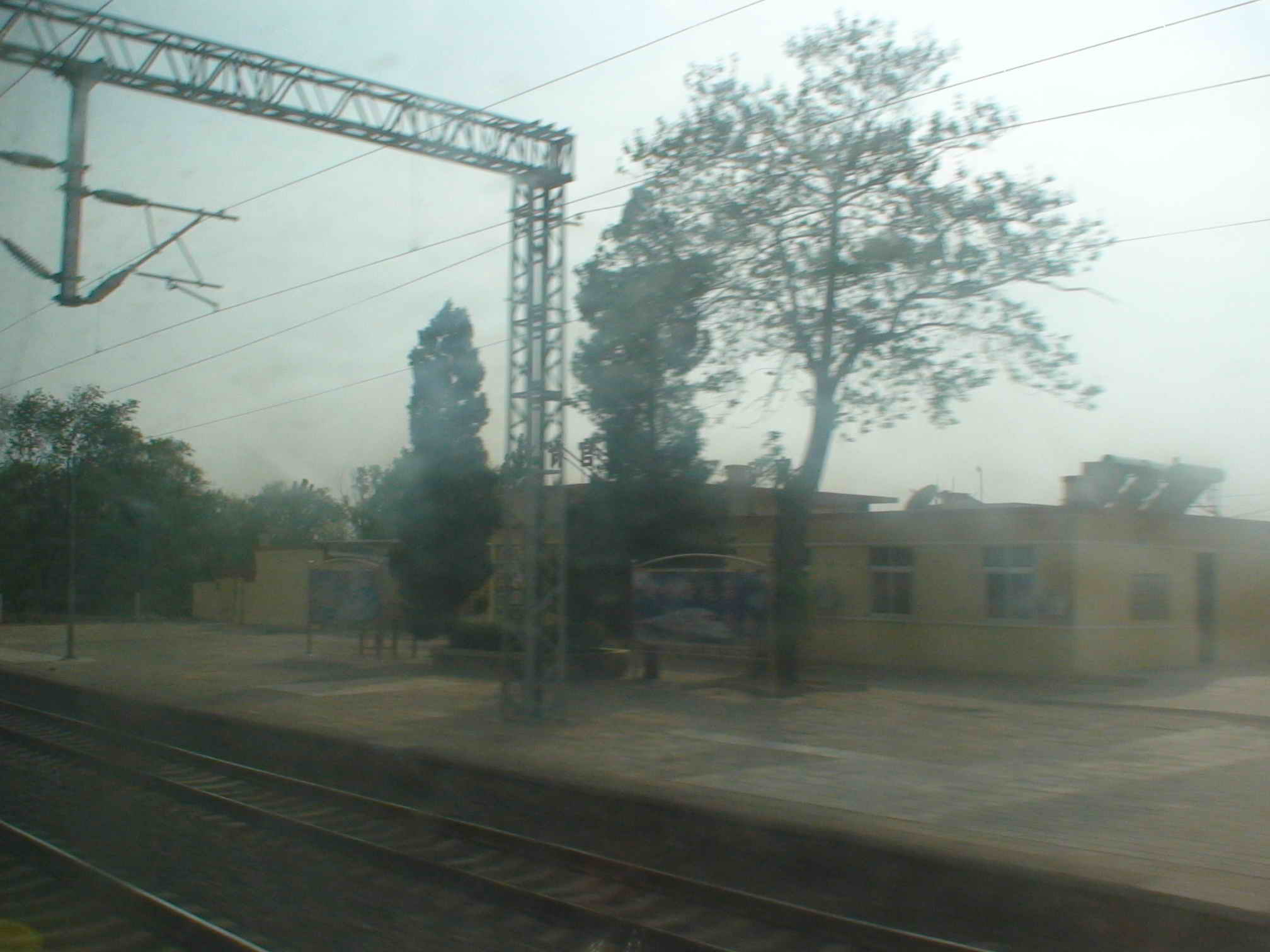 DSC01814.jpg