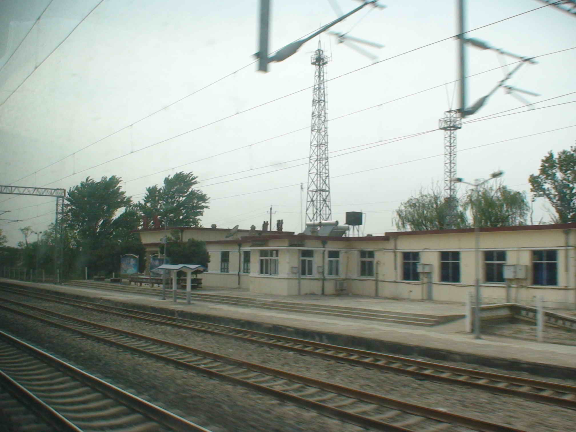 DSC01810.jpg