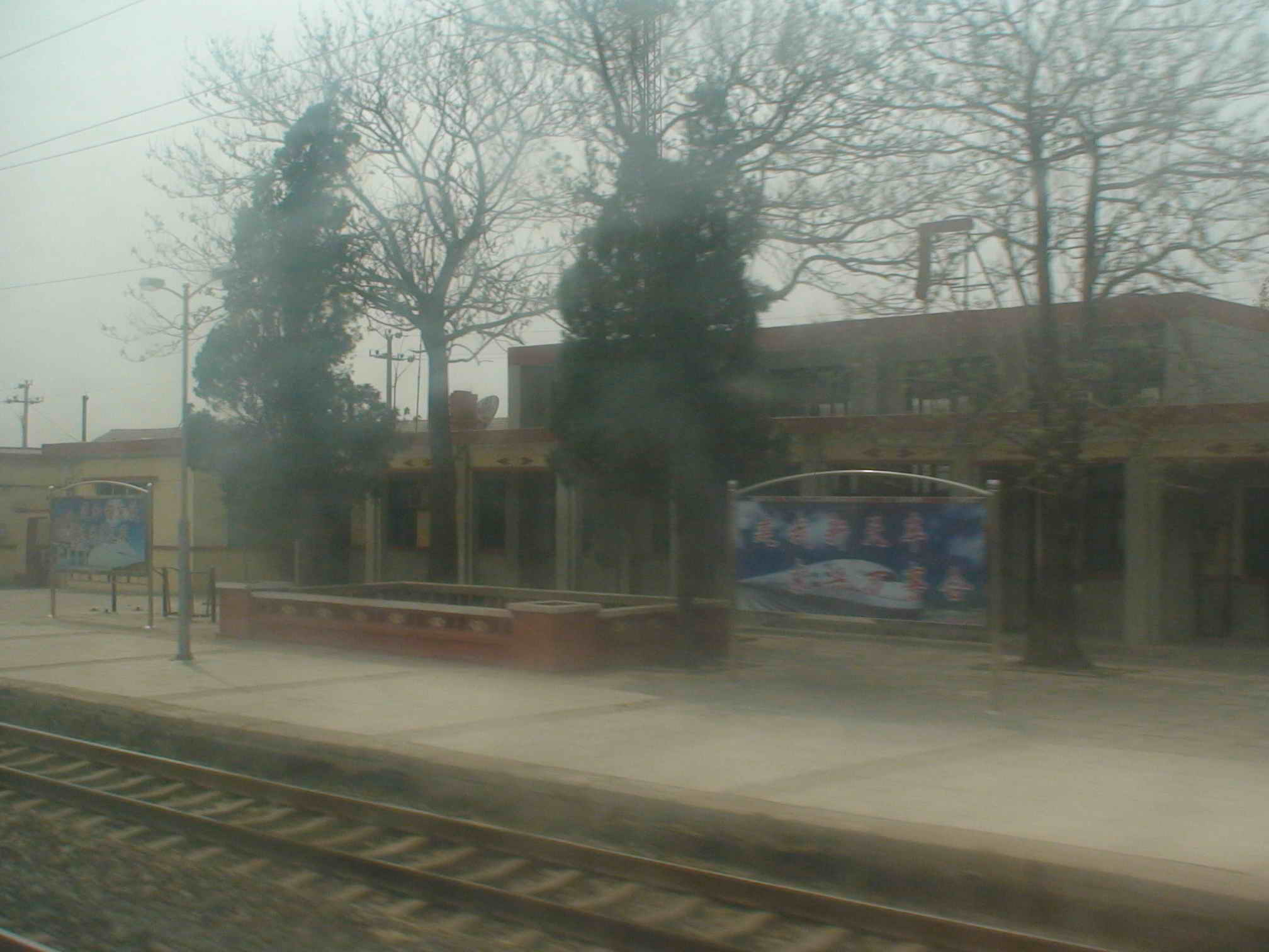 DSC01806.jpg