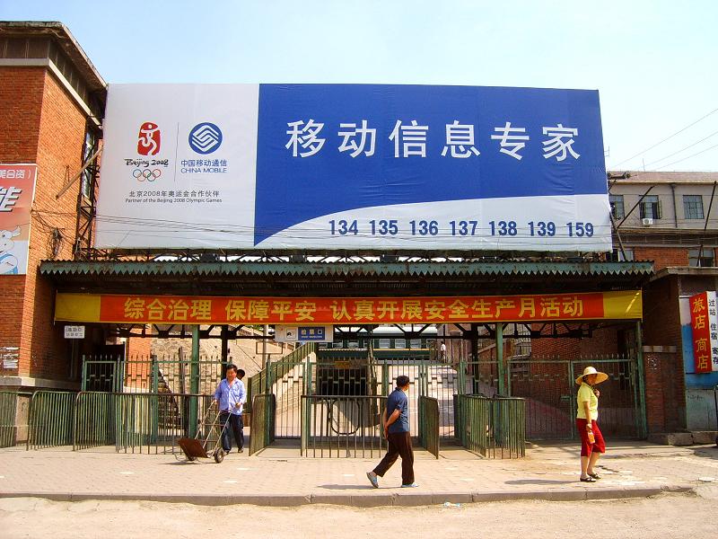 SUC50989.JPG