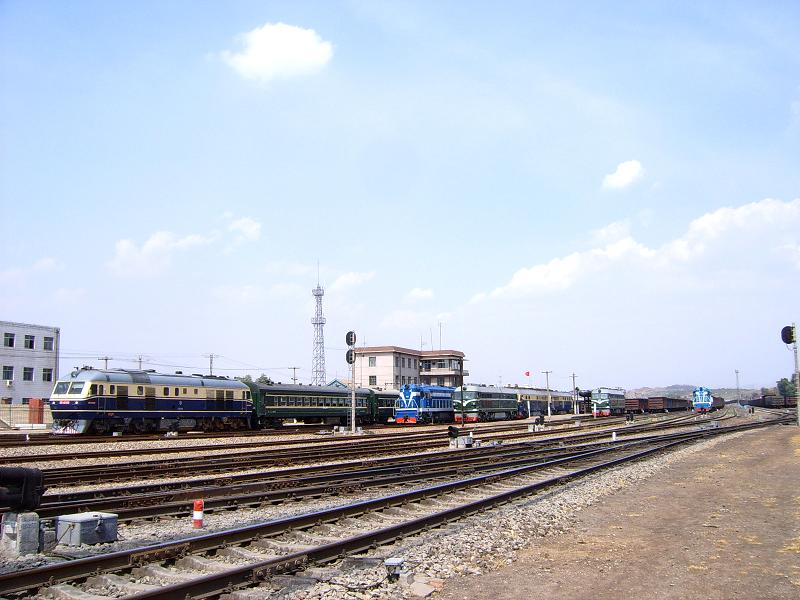 SUC50969.JPG