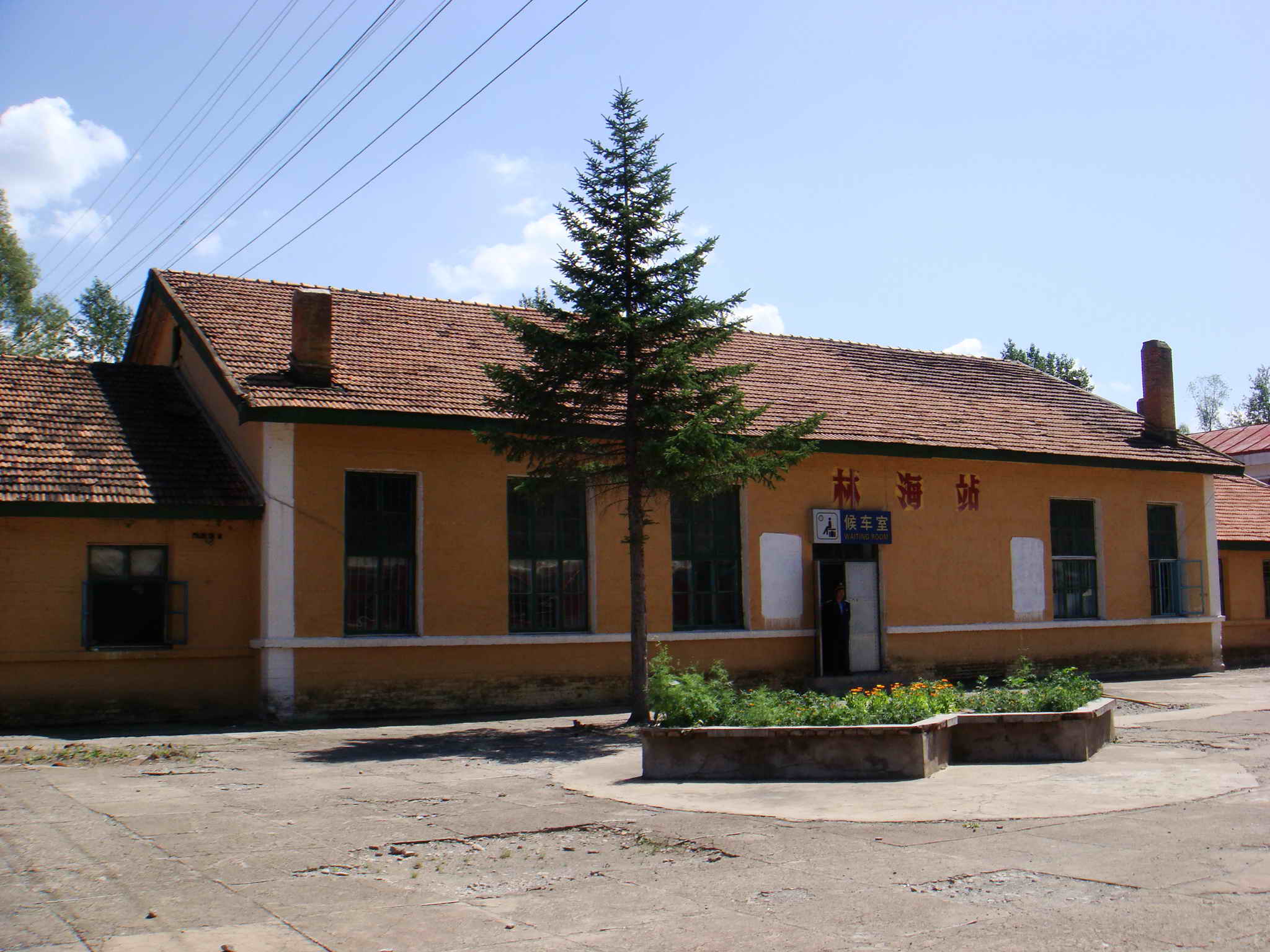 DSC02994.jpg