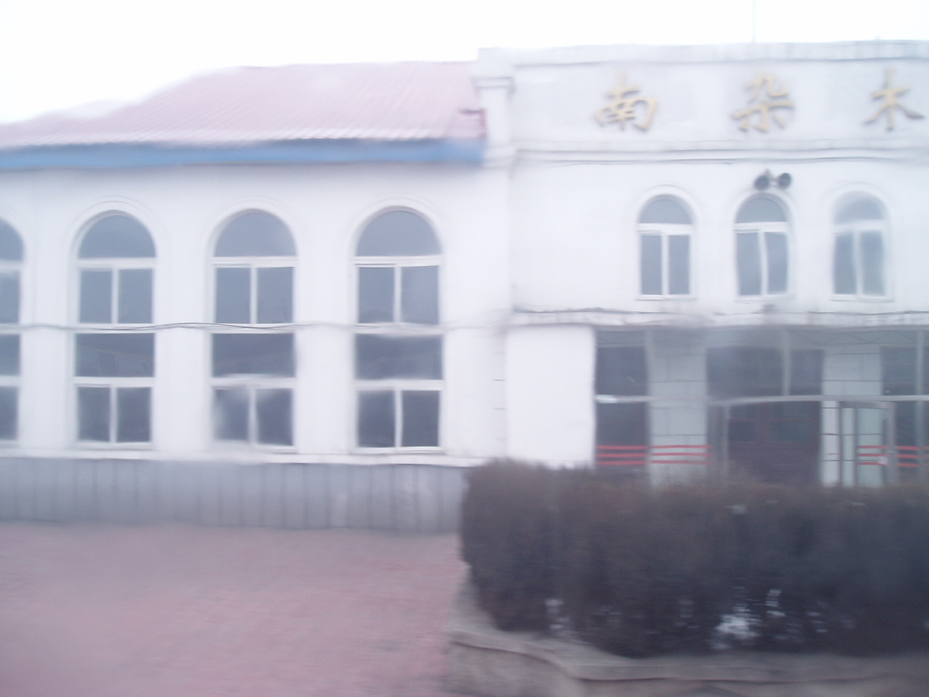 P1010006.JPG