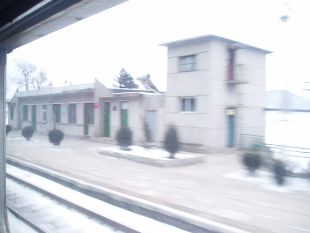 P1010007.JPG