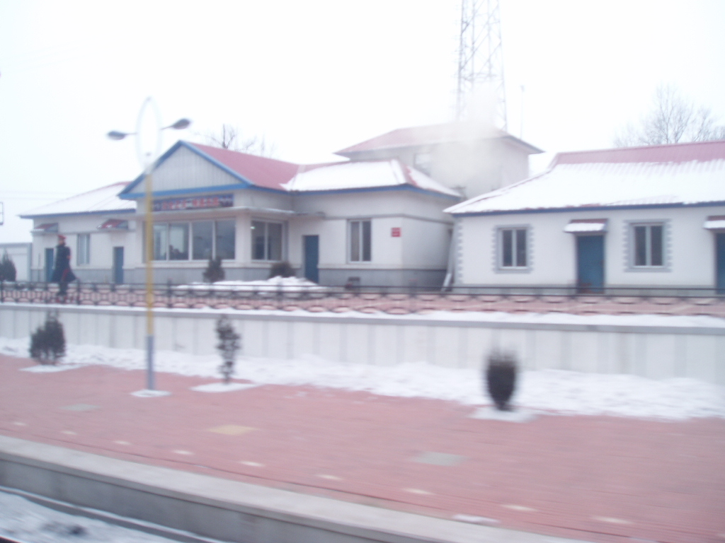 P1010008.JPG