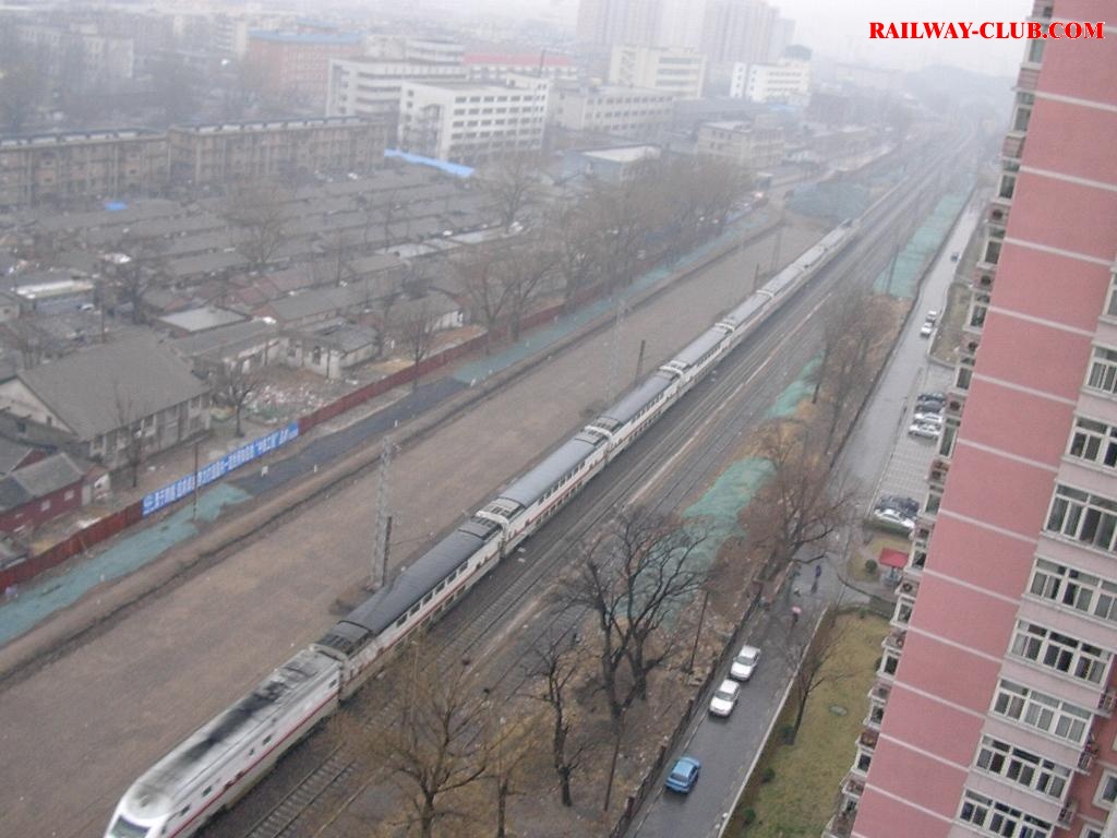 baimao3.JPG