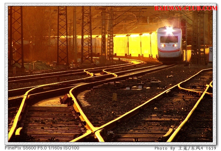 DSCF8550.JPG