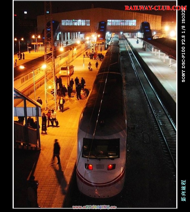 231.JPG