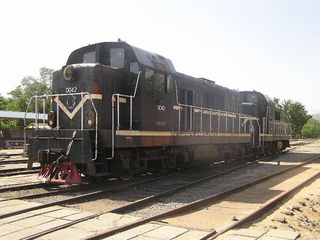 P1010270.JPG