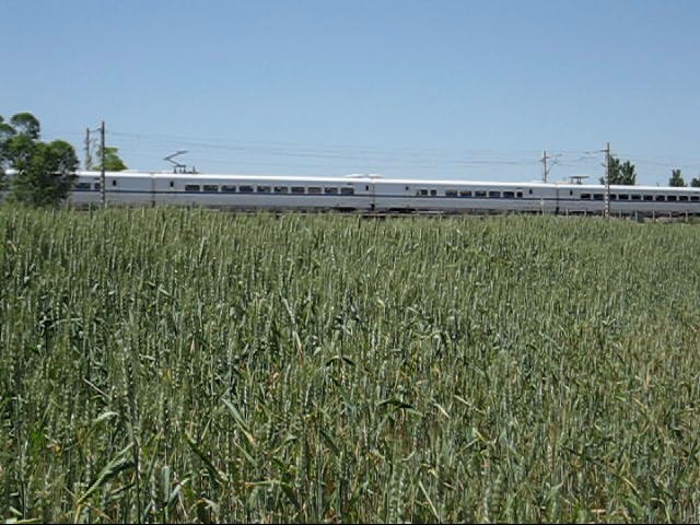 MVI_4746_0001.jpg