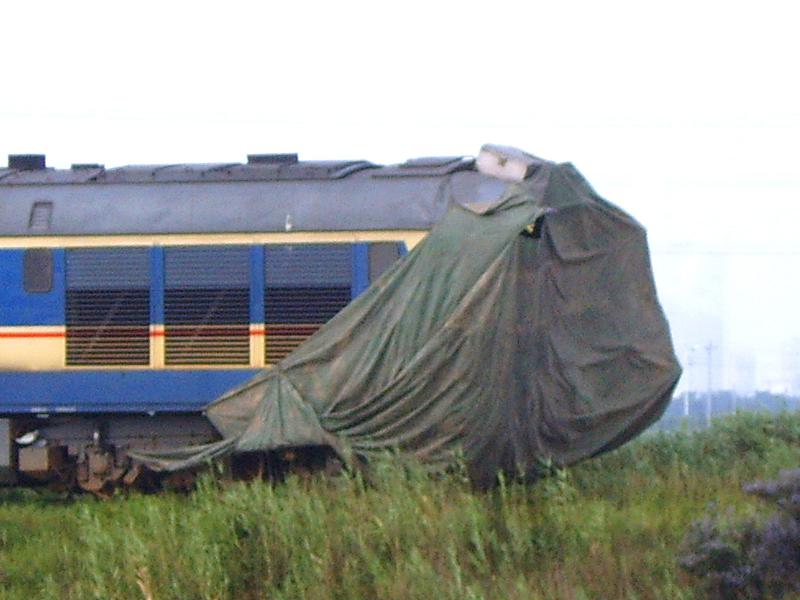 SUC51487.JPG