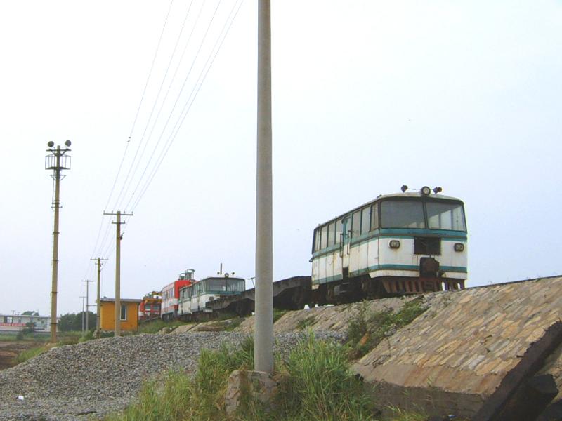 SUC51493.JPG