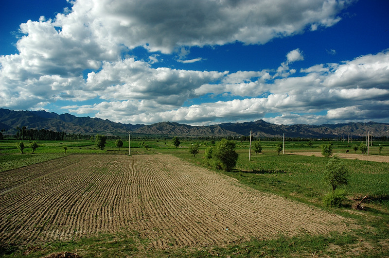 DSC_5374.jpg