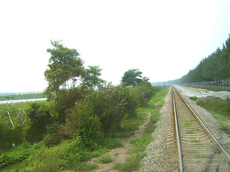 SUC51477.JPG