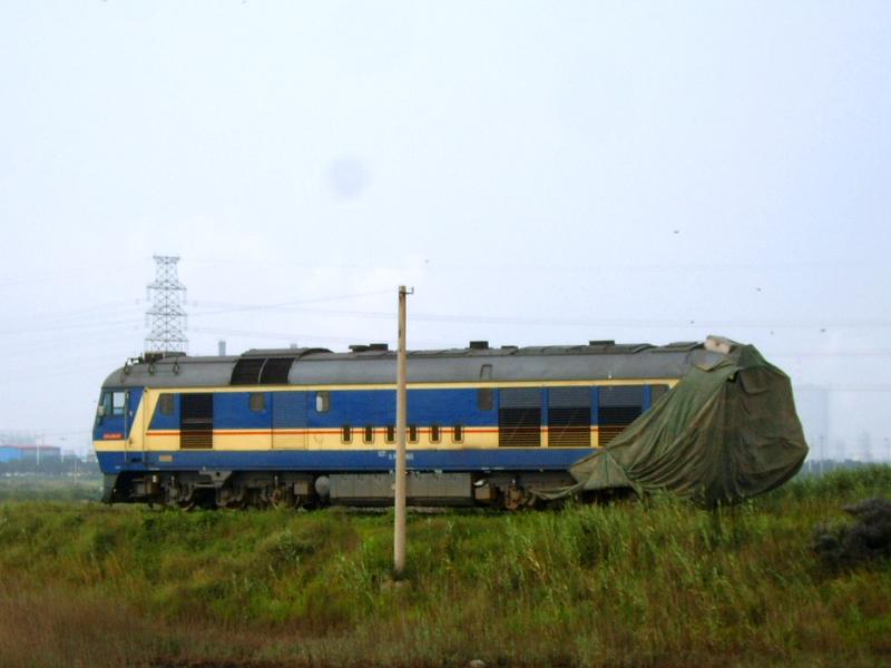 SUC51486.JPG