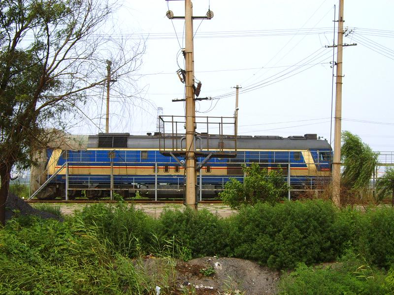 SUC51482.JPG